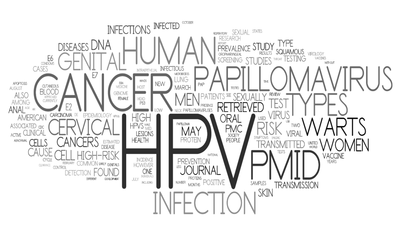 hpv 4